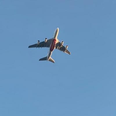 39604131 4509 4d65 9c09 Ff2bc3e53560
