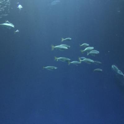 E745a9e5 Cac5 4f9d B8ff 0876d3149de5