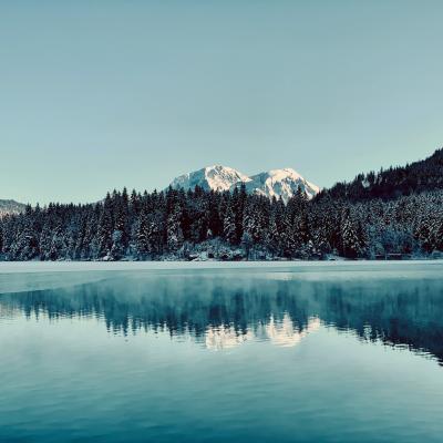 Hintersee Zauberwald